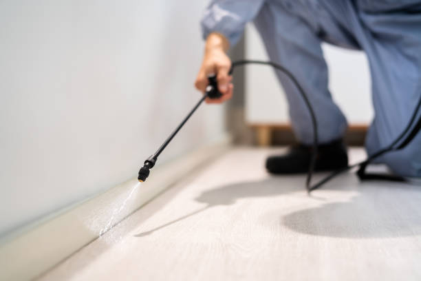 Certified termite inspector examining foundation in Edison